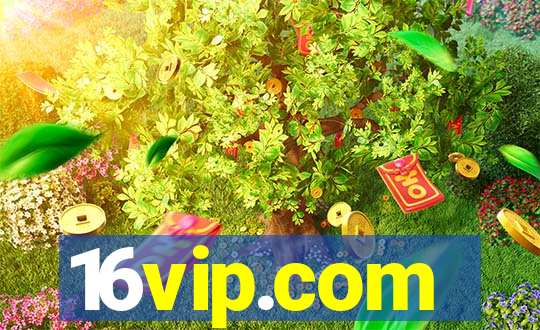 16vip.com