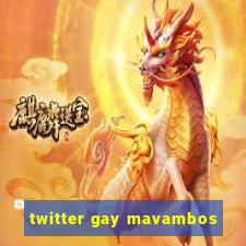 twitter gay mavambos