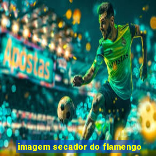 imagem secador do flamengo