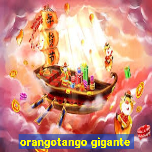 orangotango gigante