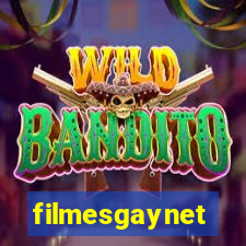 filmesgaynet