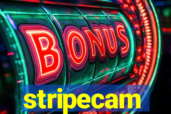 stripecam